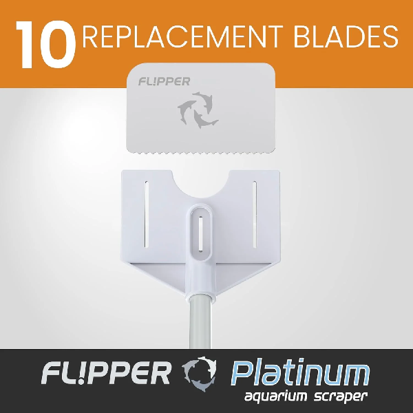 Flipper Platinum Algae Scraper Replacement Blades- 10 Pack