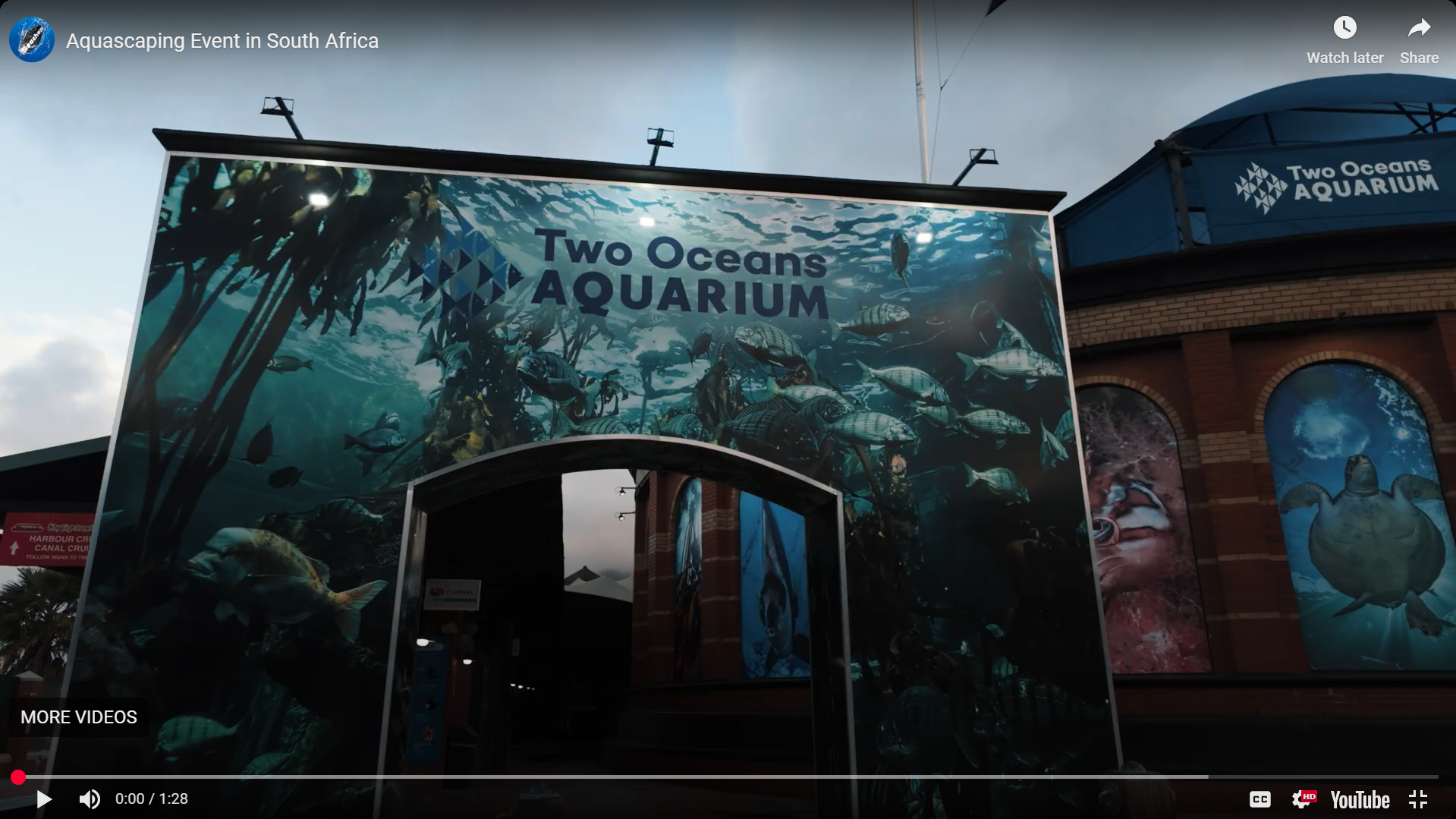 Load video: Seachem Aquascaping event 2024